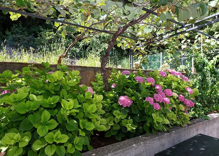 Sanja - Two Bedroom With Terrace And Sea View شقة